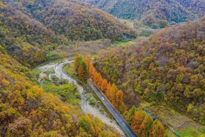 秦岭深处这条小众自驾路线：只有39公里长的高江公路一步一景