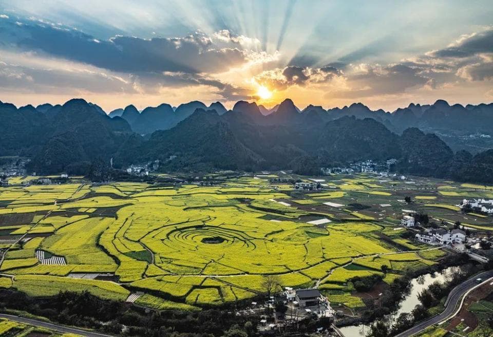 万峰林油菜花海迎来最佳观赏季，带动当地乡村振兴