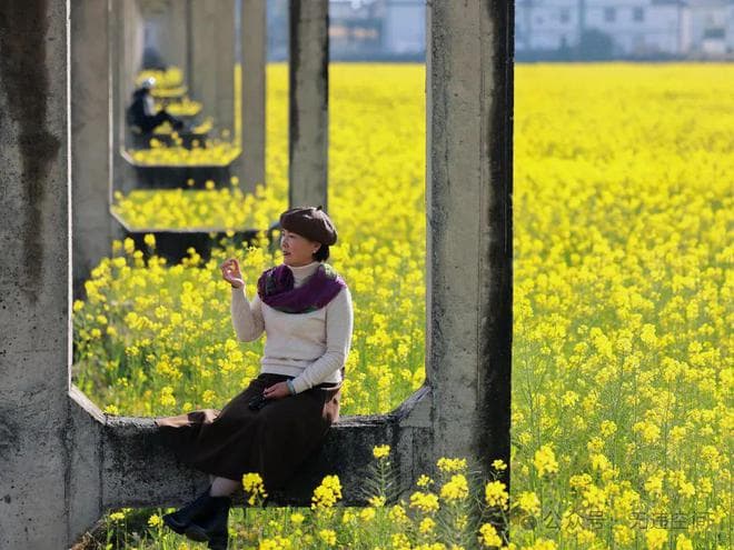 大理最美油菜花｜小众旅拍宝藏地，推荐洱海杨家登！（附美图）