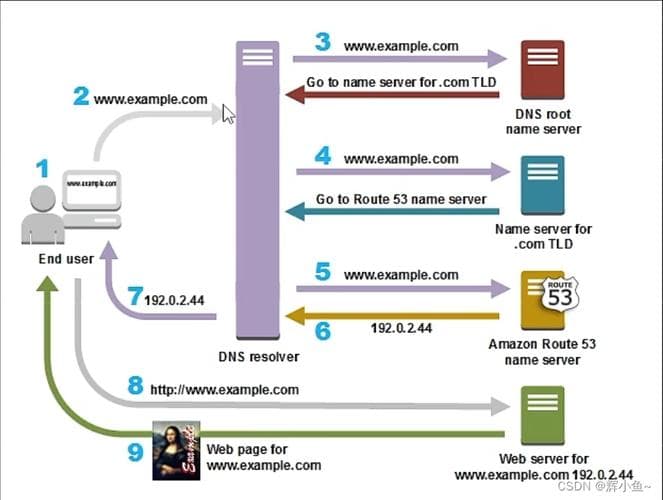 如何重置Windows系统中的DNS缓存以解决网络连接问题？