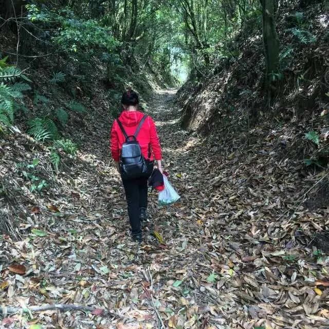 思维导图丨古代学生教育：从蒙学到大学的循序渐进