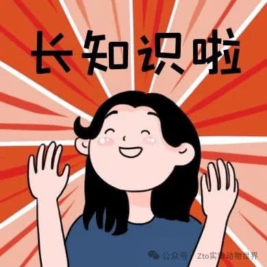 小鼠非酒精性脂肪肝模型构建方法详解