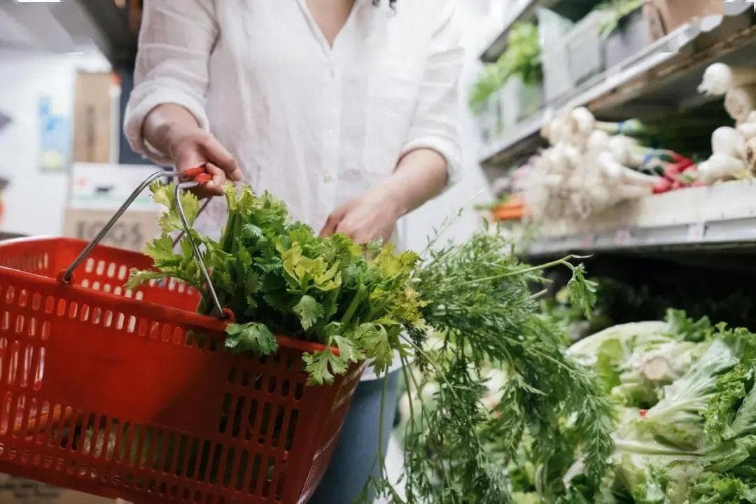 芹菜叶是个宝，扔掉太可惜了，教你4个特色吃法，营养美味，给肉都不换
