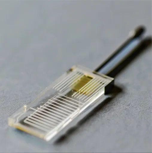 生物芯片带你‘芯’游生物界