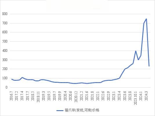 猫爪草涨得有多妖，跌得就有多狠，产地行情跌去七成！