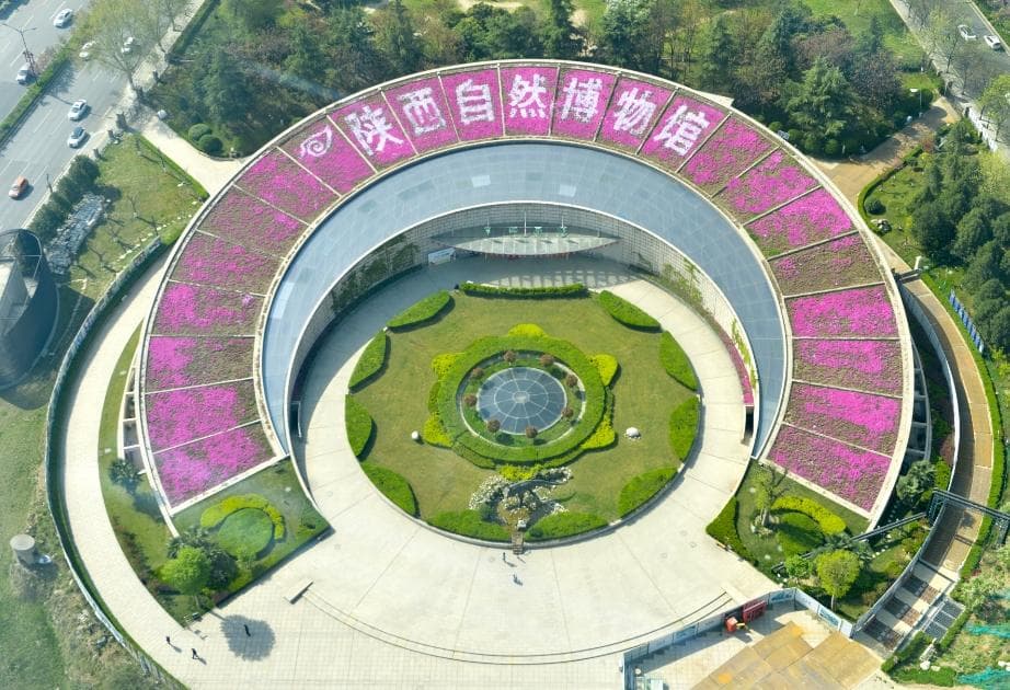 陕西自然博物馆：国家二级博物馆里的自然奥秘