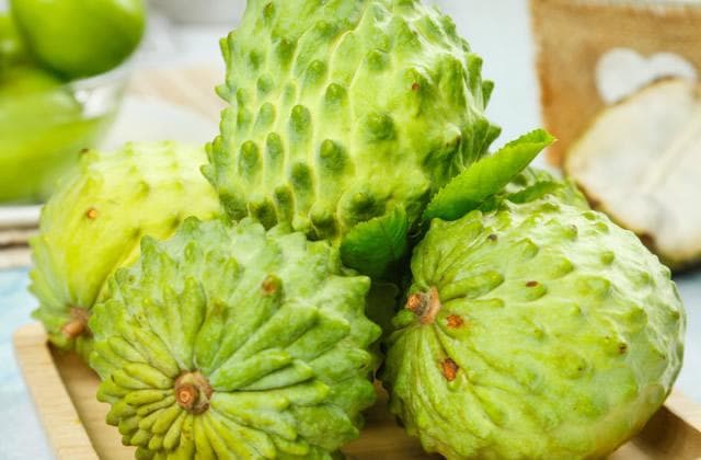 释迦果的功效与禁忌 番荔枝种植技术与修剪方法