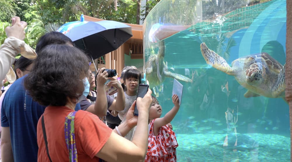 广州海洋馆回归，有游客"吐槽"票价、科普介绍等问题