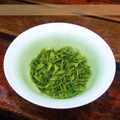 菊花与普洱茶可以一起泡茶吗？探究其功效与搭配