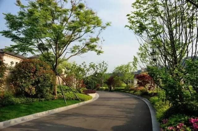 道路绿化设计规范大全