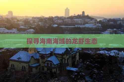探寻海南海域的龙虾生态