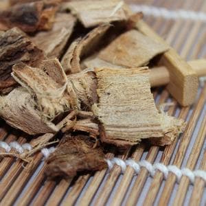榆树皮的功效与作用