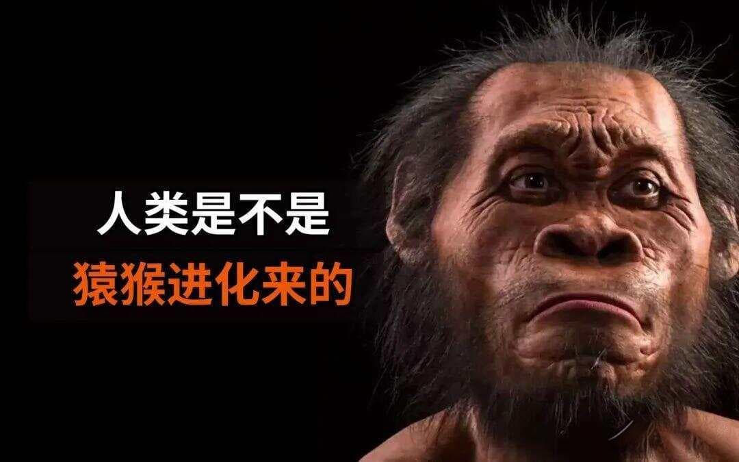 人类真的是猴子进化的吗？现在的猴子为何没进化成人类？