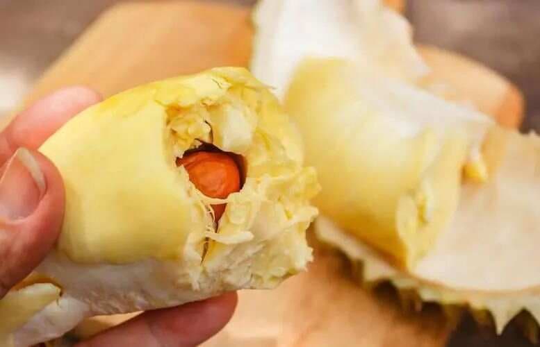 榴莲的正确打开方式：吃对了驱寒补阳气，吃错了上火生湿！