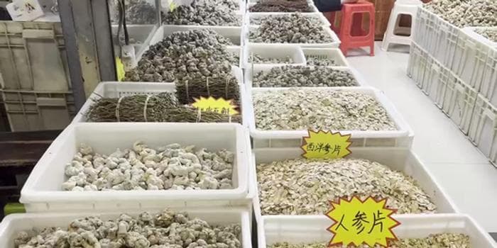 冷库不足药材损失大 四川最大中药材市场商家遭遇储存难题