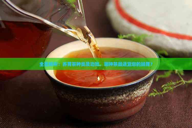 全面解析：养胃茶种类及功效，哪种茶最适宜您的肠胃？