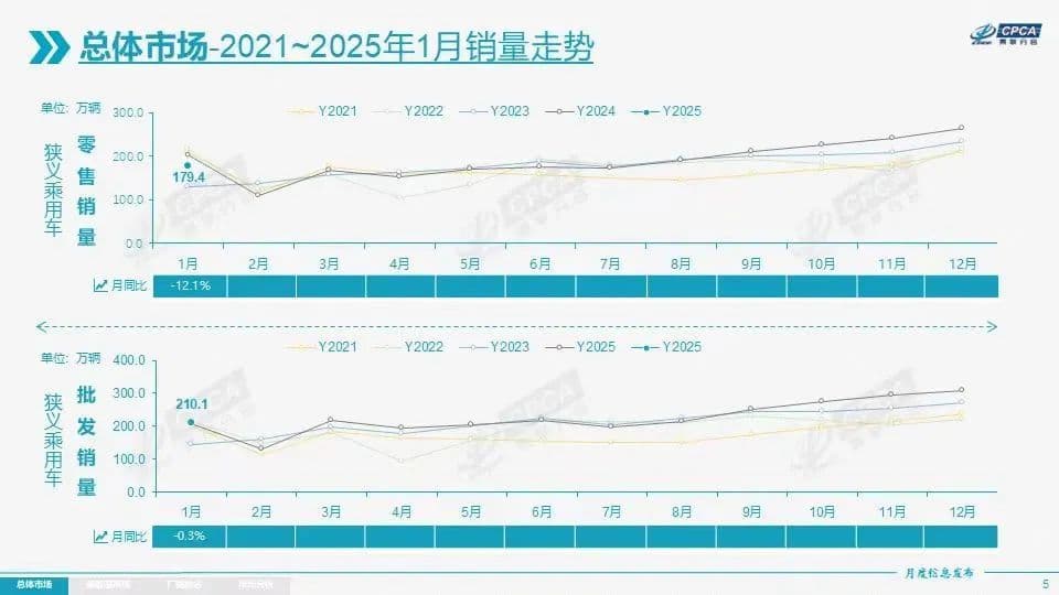 2025年1月市场分析：自主品牌乘胜追击