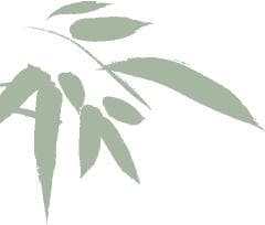 吃辣与胃癌关系揭秘：适量有益，过量需谨慎