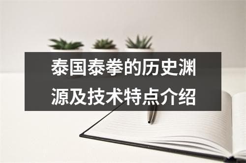 泰国泰拳的历史渊源及技术特点介绍