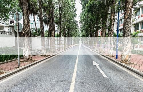 迎客松画挂在客厅好吗？探讨其装饰效果与寓意