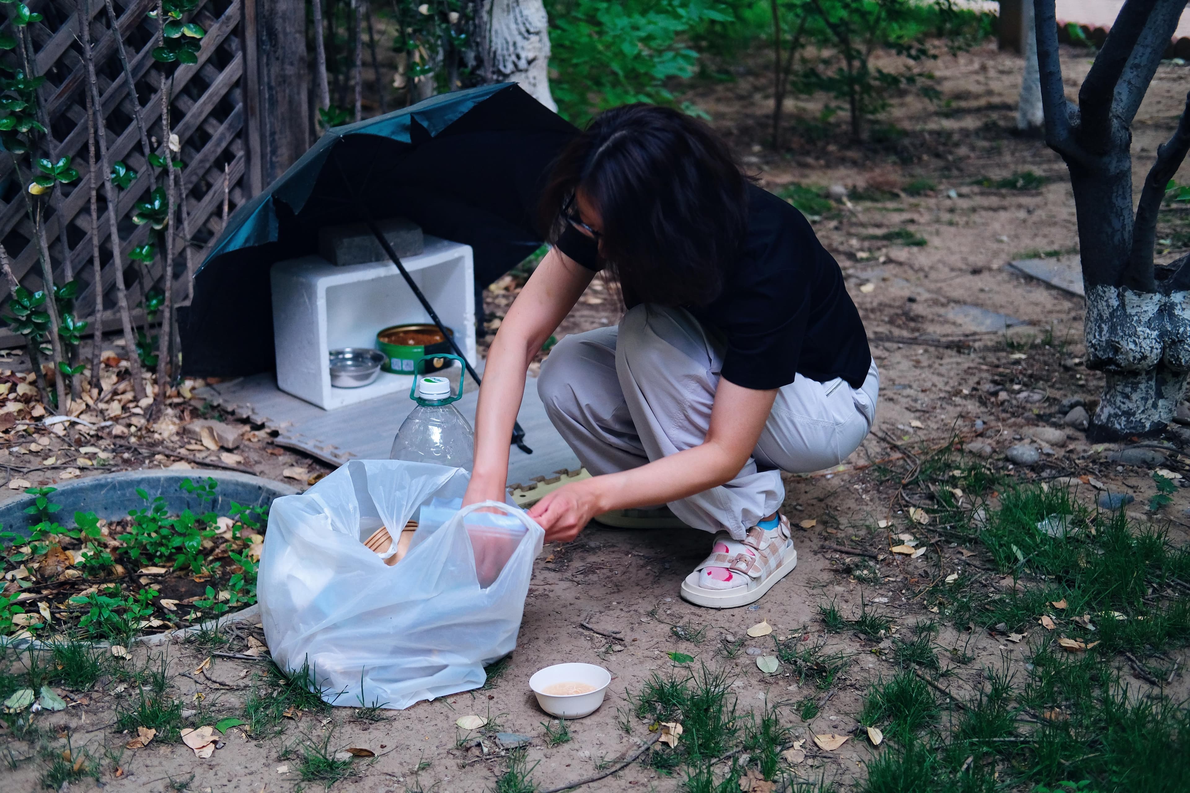 定点定量投喂，寻找领养家庭，这样救助流浪猫邻里都满意