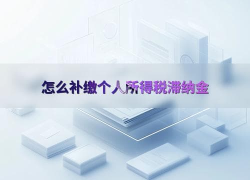 怎么补缴个人所得税滞纳金