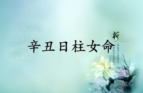 辛丑日柱女命详细解析