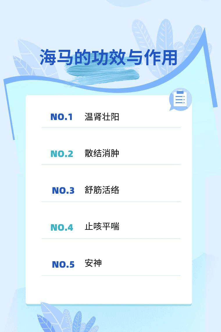 海马的功效与作用