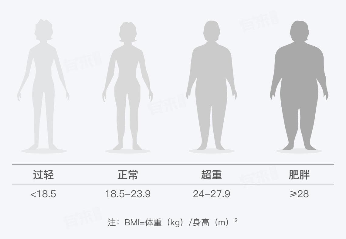 女性BMI标准对照表