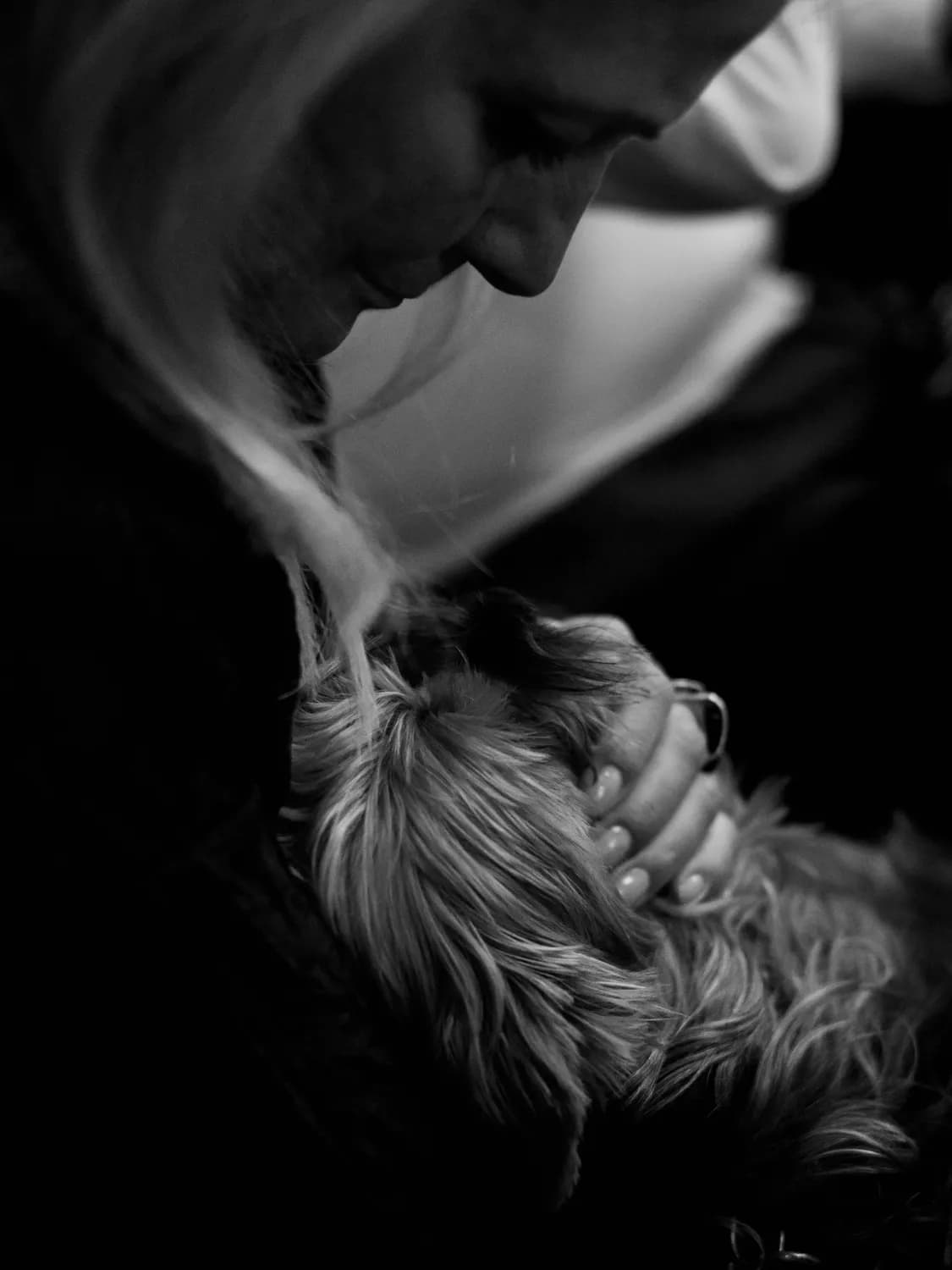 揭秘幼犬舔脸：不只是爱的表达，还有这些意想不到的秘密