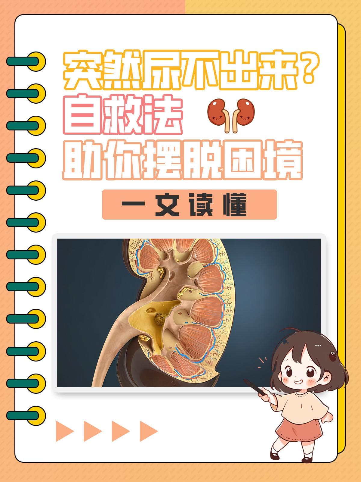 突然尿不出来？自救法让你重拾“畅通”感
