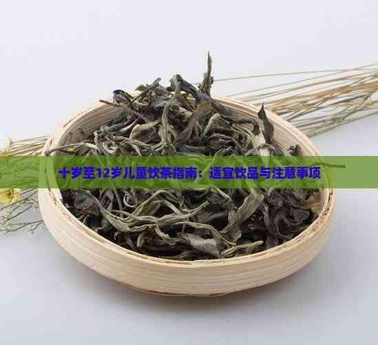 十岁至12岁儿童饮茶指南：适宜饮品与注意事项