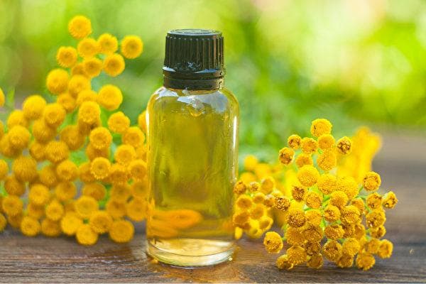 使用精油需谨慎：10大使用禁忌全解析