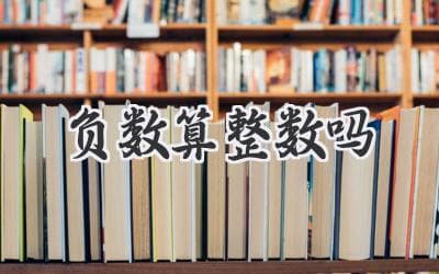 负数到底是不是整数？揭秘隐藏在数学中的秘密