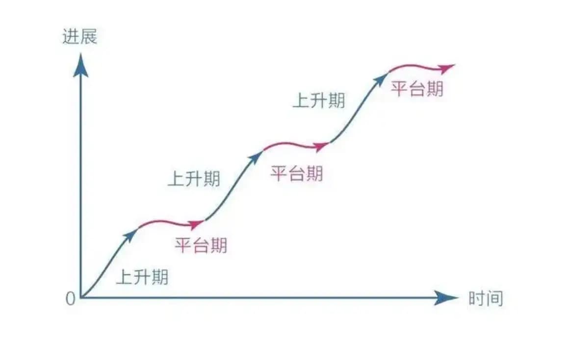 从熟练到精通——2025年你需要这份高效学习指南