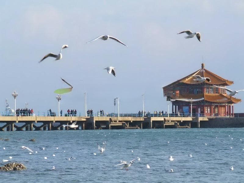 冬游青岛景点——栈桥