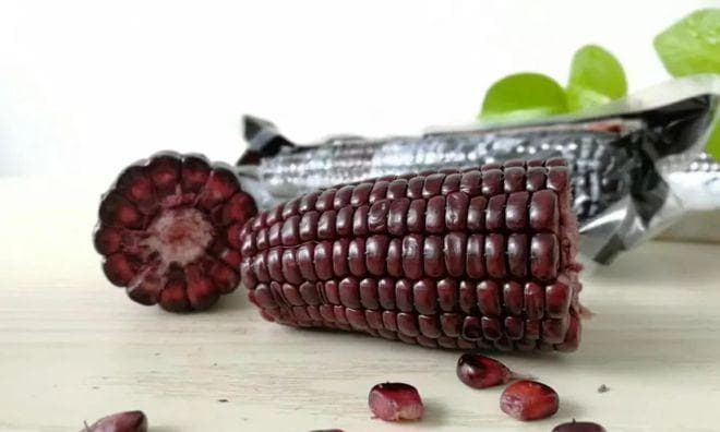 黑玉米，含糖量高的健康食材（探究黑玉米的营养成分与健康功效）