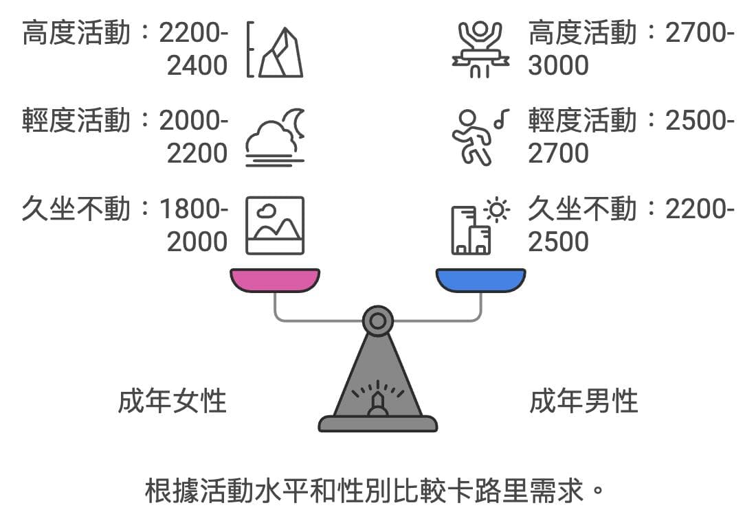 人一天消耗多少卡路里？计算基础代谢率（BMR）与卡路里消耗公式