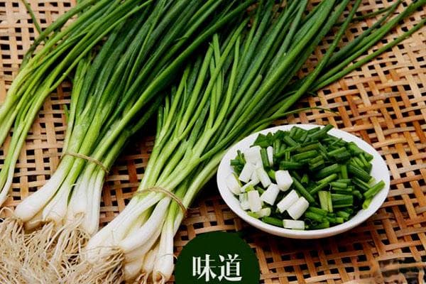 小葱：从食用到药用的全面指南