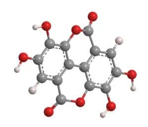 MolAid分子特快：天然美白剂【鞣花酸】的科学解析