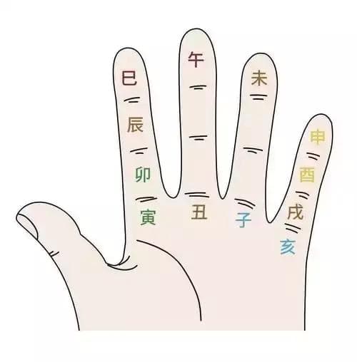 什么是地支？十二地支与生肖五行