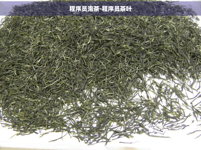 程序员的专属茶饮指南：不同茶叶的功效与泡法