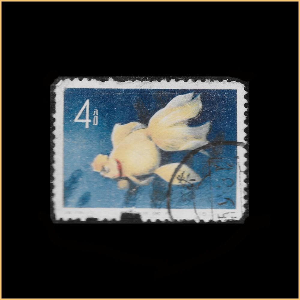 特38 金鱼 1960.6.1.