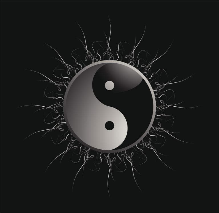 生日到底过农历还是阳历？选择指南来了