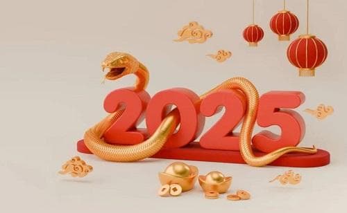 2025年乙巳年：木蛇之年的运势与文化解读