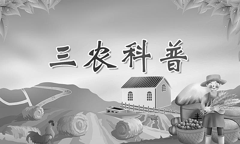 果园春季病虫害防控技术要点