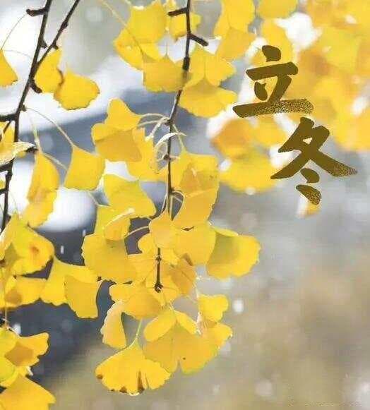 最适合立冬后食用的三道养生汤，做法简单又滋补