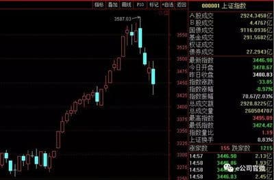 深圳板块的龙头股票有哪些股票？,揭秘市场领航者