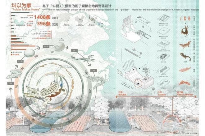 㘰以为家—— 基于“㘰堤+ ”模型的扬子鳄栖息地再野化设计