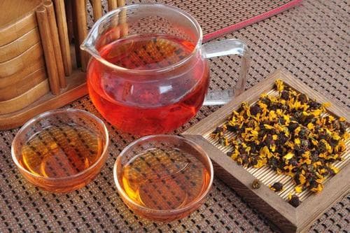 雪菊的功效与作用禁忌雪菊和什么一起泡茶好(雪菊的功效与作用禁忌)